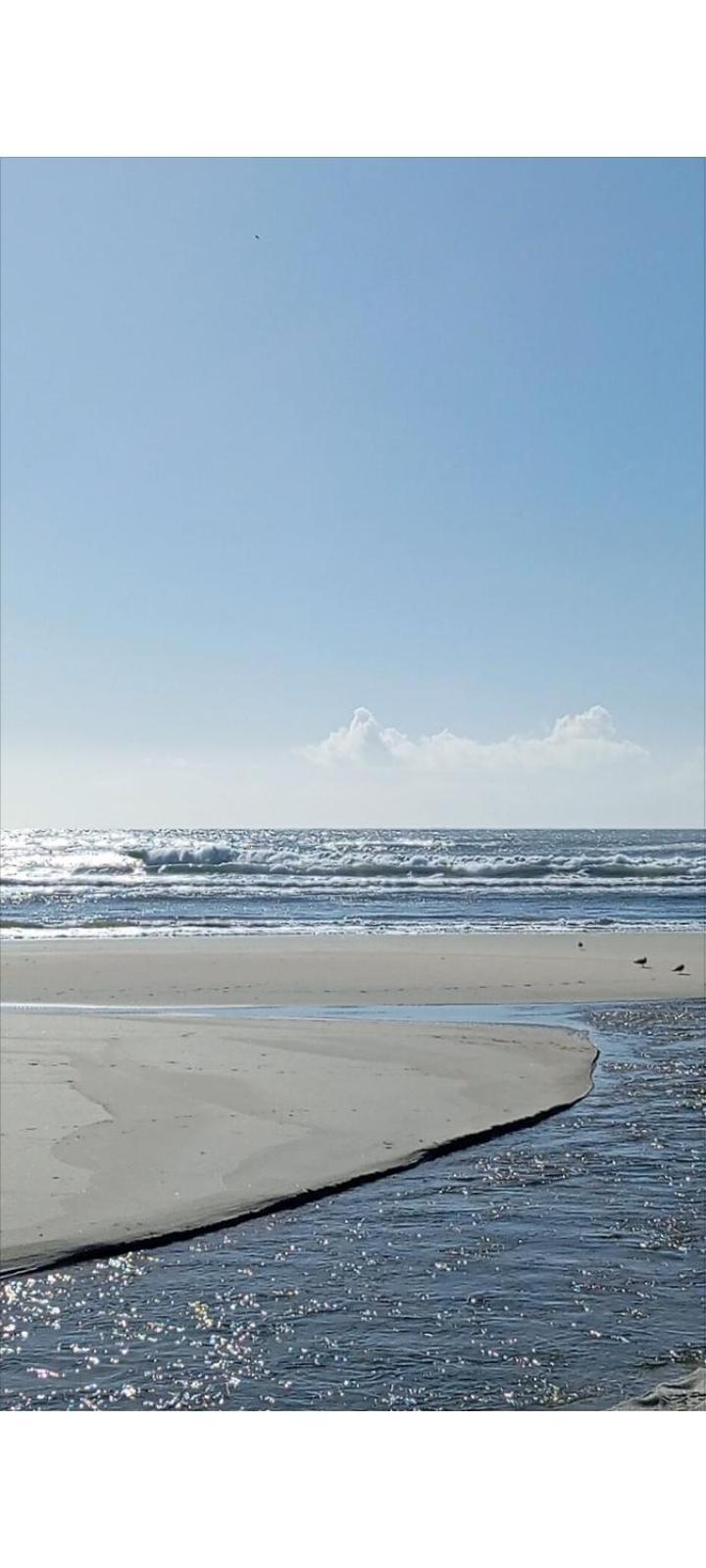 Atico Maravilloso En Cangas , Vigo Oda fotoğraf
