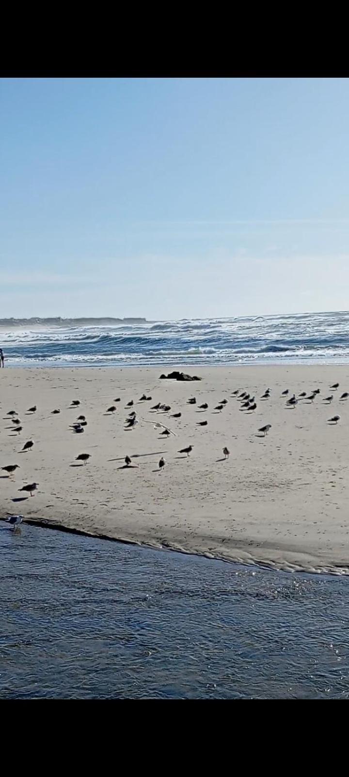 Atico Maravilloso En Cangas , Vigo Dış mekan fotoğraf